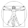  Alchemy of da Vinci Vitruvian Man. In search of 3 vs 4 