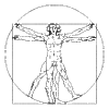 da Vinci Vitruvian Man