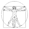  da Vinci Vitruvian Man 